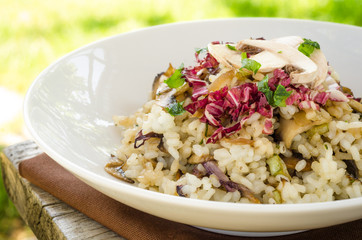 Rice with mushrooms, zucchini, radicchio and parsley