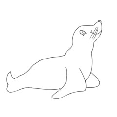 Seelöwe Robbe Silhouette Vektor