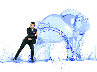 water's elephant