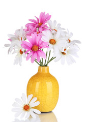 Beautiful daisies in colorful vase isolated on white