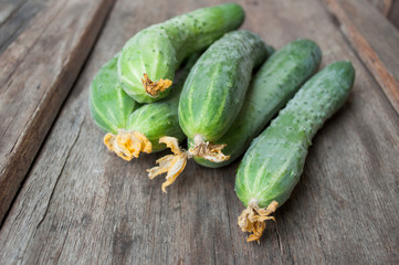 Fresh cucumbers on a wooden table