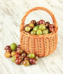 Fresh gooseberries in wicker basket on table close-up