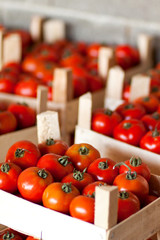 Reife tomaten auf dem bazar