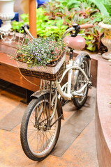 Fototapeta na wymiar flower on the bike