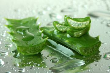 Close up of aloe leaves with drops