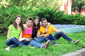 Fototapeta na wymiar Happy group of young students sitting on meadow