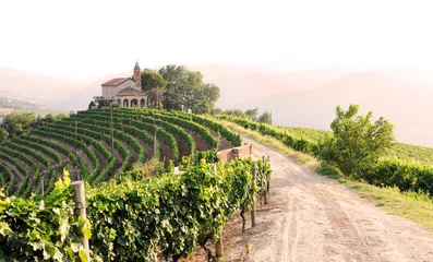 Foto op Plexiglas landschap met wijngaarden en kerk © Anna Khomulo