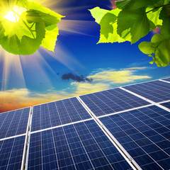 solar panels on the field