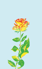 Rote Rose mit Bl&auml;tter