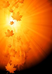 Colourful abstract autumn background