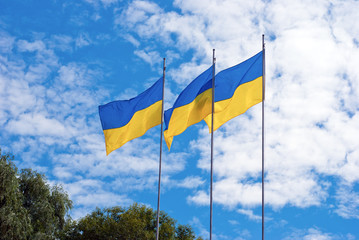 Ukrainian flags on a background of blue sky