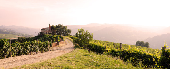 paysage avec vignes et église