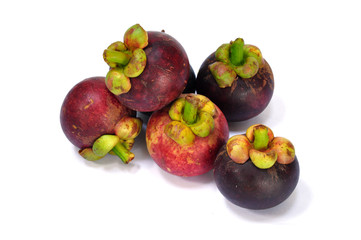 Mangosteen