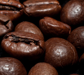 Naklejka premium coffee beans