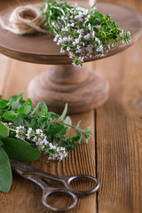 Bouquet garni - herbs  tied by string