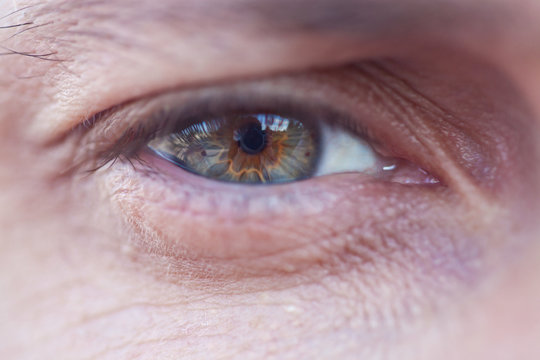 Macro photo of male grey eye