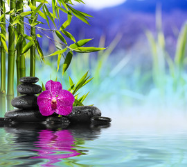 Purple Orchid, Stones and Bamboo on the water