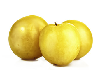 albaricoques amarillos sobre fondo blanco