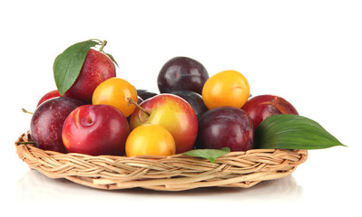 Ripe plums in basket isolated on white