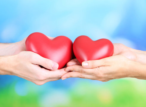Hearts in hands on nature background