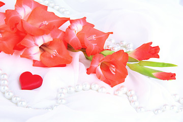 Beautiful gladiolus flower on white fabric background
