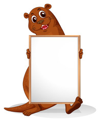 A sealion holding an empty whiteboard