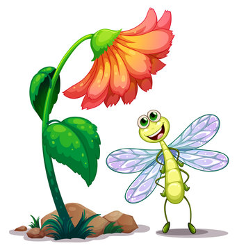 A smiling dragonfly below the giant flower