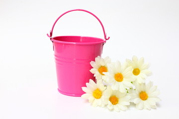 Pink bucket with white flowers on white background