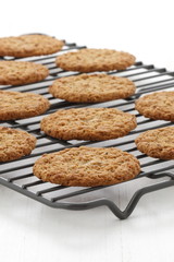 Fresh baked oatmeal cookies