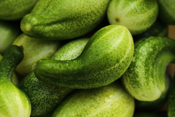 Green cucumbers, background