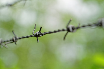 Barbed wire