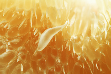 Texture of pamelo pulp