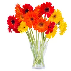 Zelfklevend Fotobehang Gerbera gerbera flowers in vase