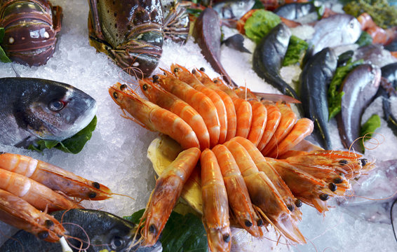 shrimp on ice