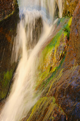 Waterfall with seaweeds