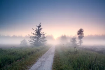 Wall murals Morning with fog ground road into fog at sunrise