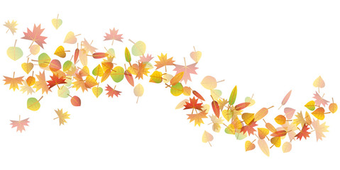 Colorful autumn leaves wave on white background illustration