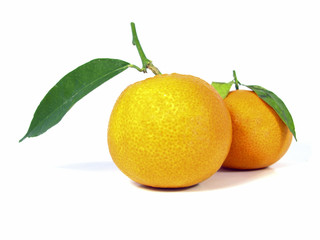 Two Tangerine