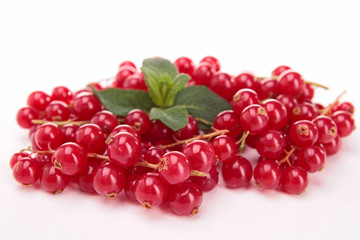 redcurrant isolated