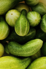 Green cucumbers, background