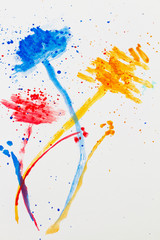 Fototapeta premium Paint splashing