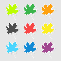 The stickers in the form of a maple leaf on autumn theme