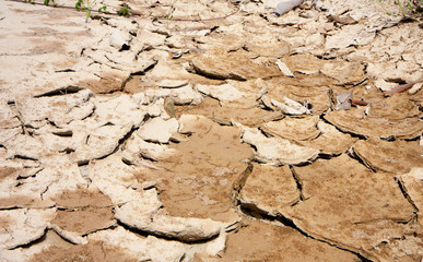 cracked soil