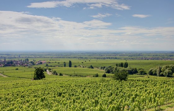 Palatinat 이미지 찾아보기 357 스톡 사진, 벡터 및 비디오 Adobe Stock