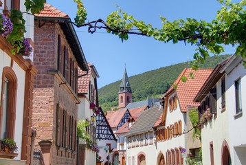 Fototapeta na wymiar village viticole allemand