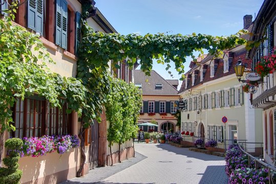 village viticole allemand