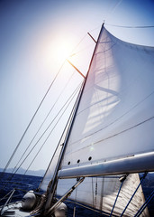 Fototapeta premium Sail of the Yacht