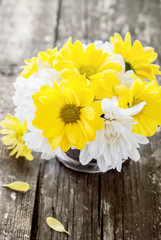 White and Yellow Flowers Chrysanthemums in a bouquet