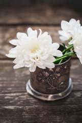 White Flowers Chrysanthemum in the metal bowl