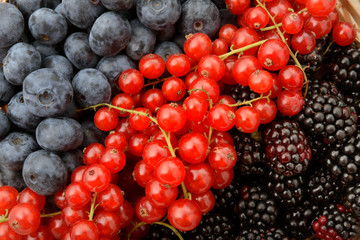 Frutti di bosco assortiti